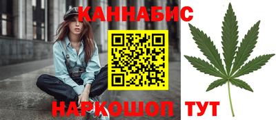 мдпв Гусев