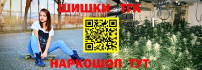 мдпв Гусев