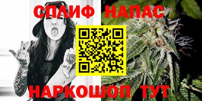 мдпв Гусев