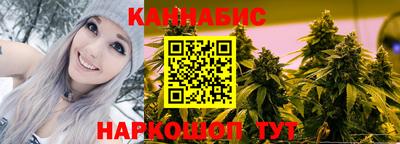 мдпв Гусев