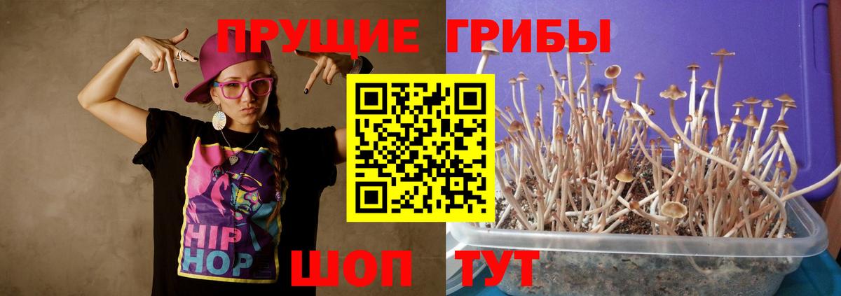 Галлюциногенные грибы мицелий Нижнеудинск