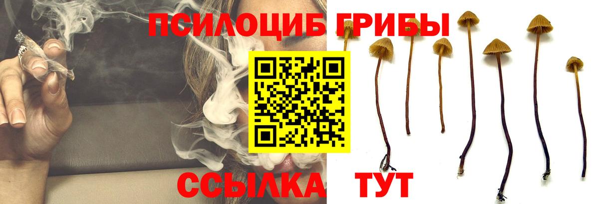 Нижнеудинск  Галлюциногенные грибы MAGIC MUSHROOMS  Вход с VPN  Псилоцибиновые грибы Cubensis 